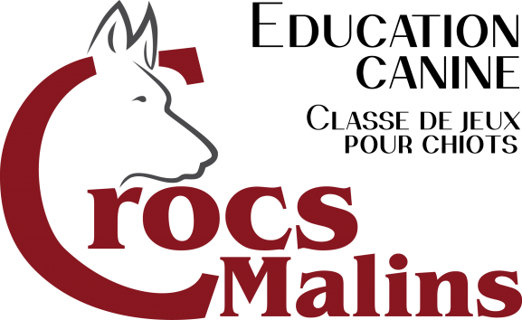 crocsmalins.ch